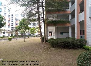 Zhongshan 035- Ensemble